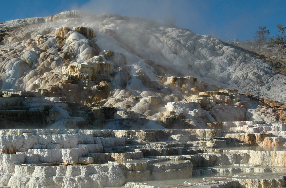 Mammoth Hot Springs