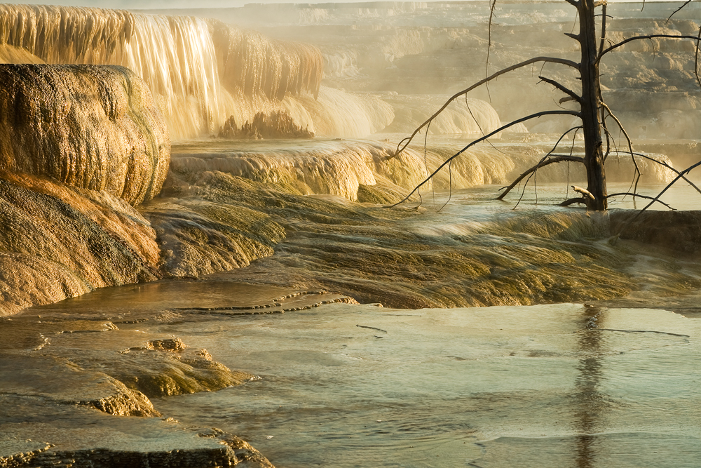 Mammoth Hot Springs