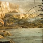 Mammoth Hot Springs