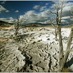 Mammoth Hot Springs