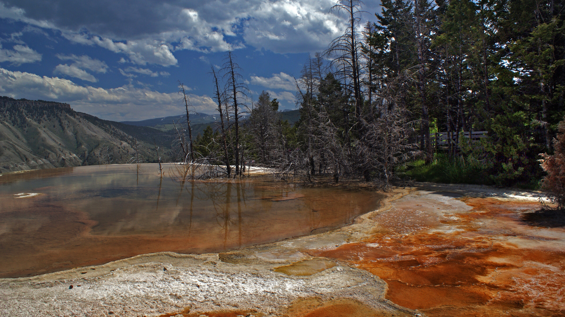 Mammoth Hot Springs