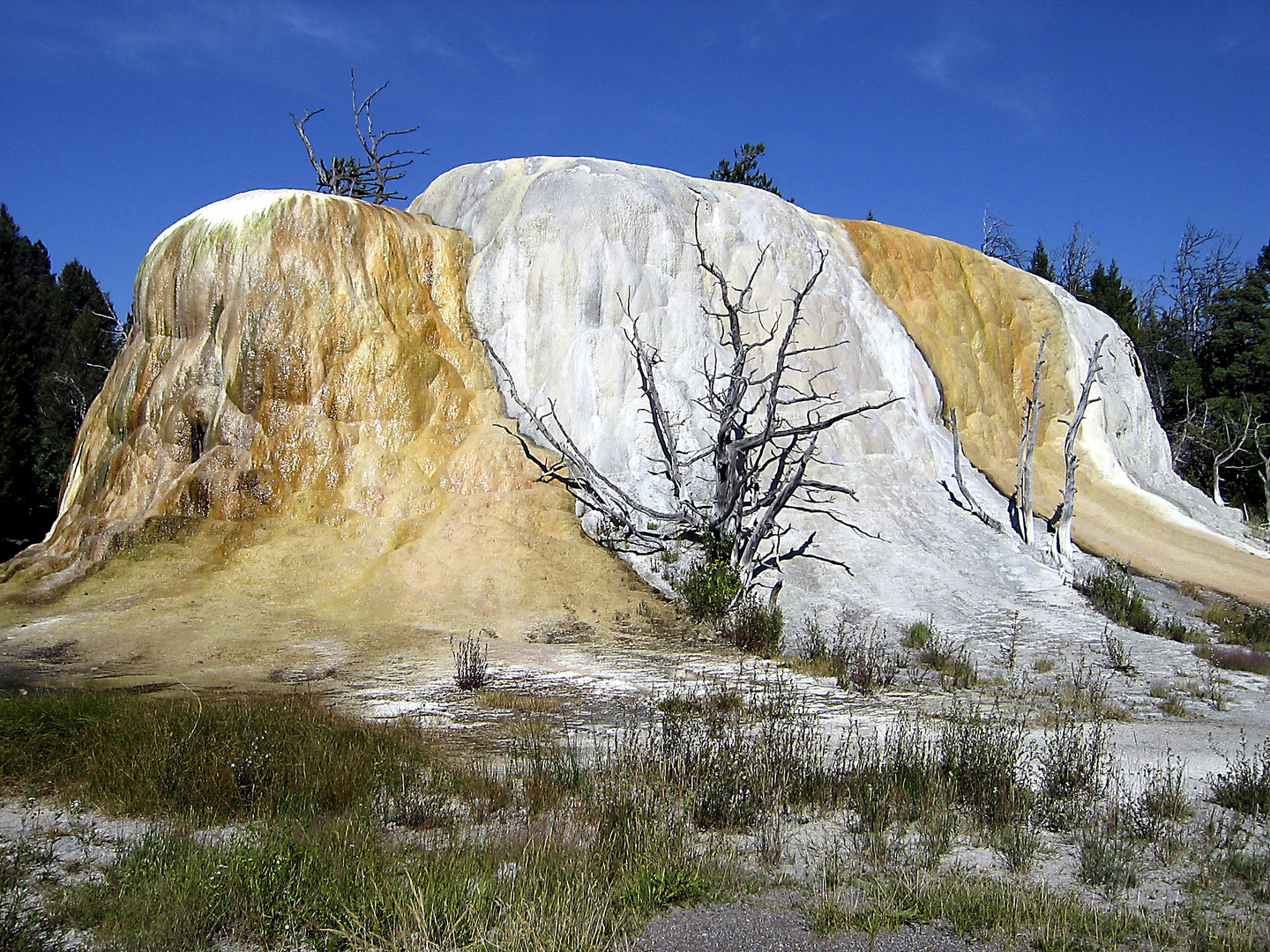 Mammoth Hot Springs