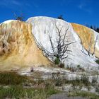 Mammoth Hot Springs