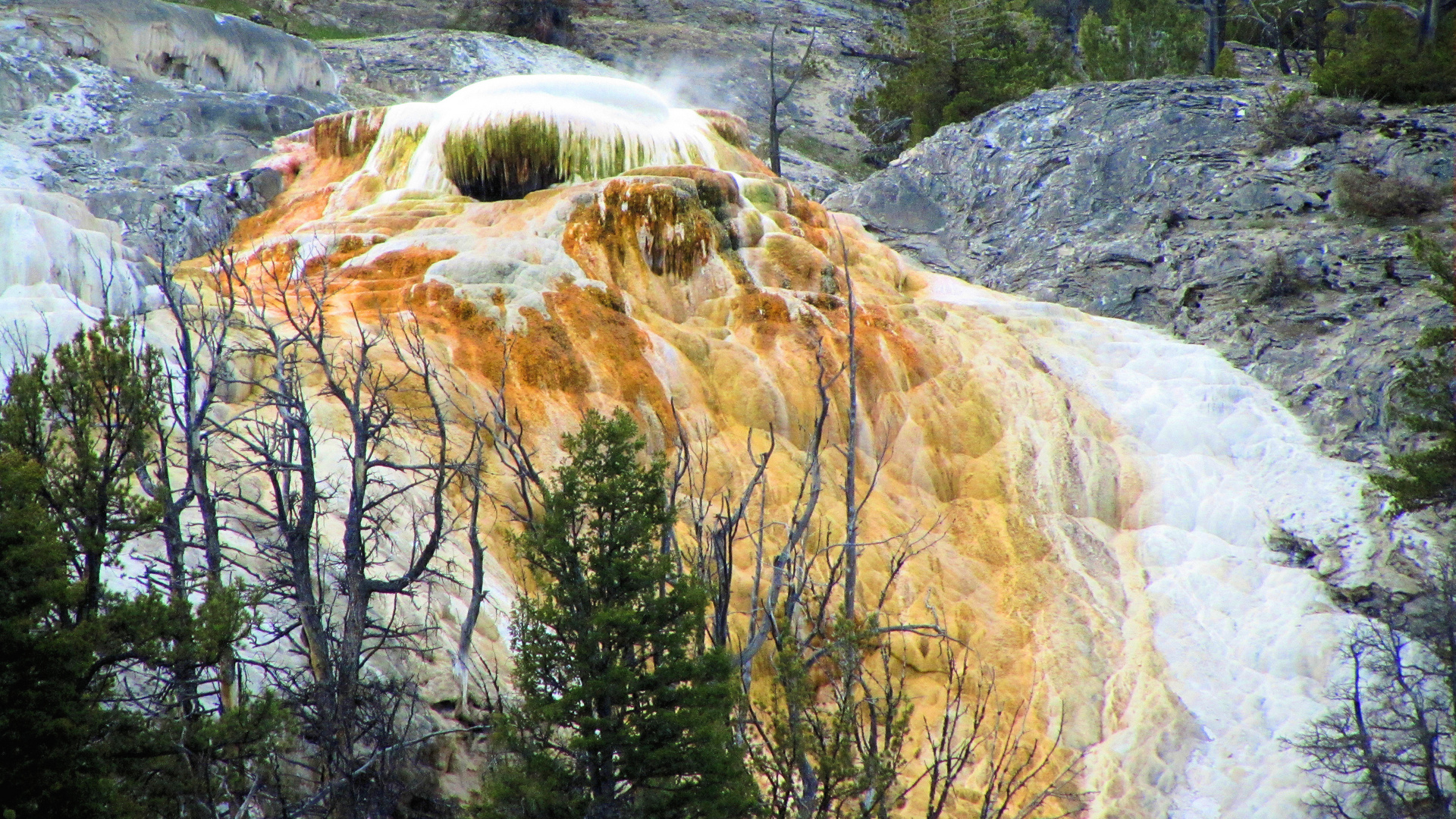 Mammoth Hot Springs