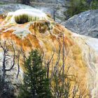 Mammoth Hot Springs