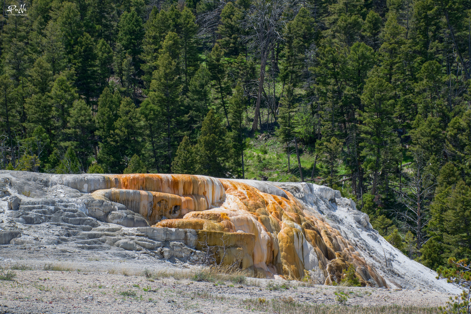 Mammoth Hot Springs