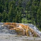 Mammoth Hot Springs