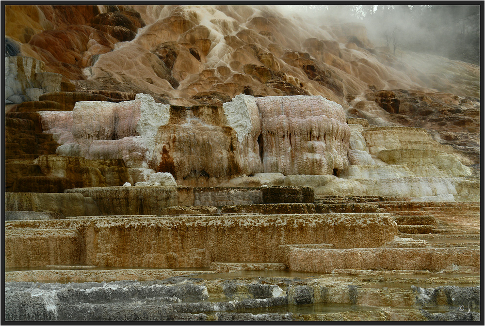 Mammoth Hot Springs