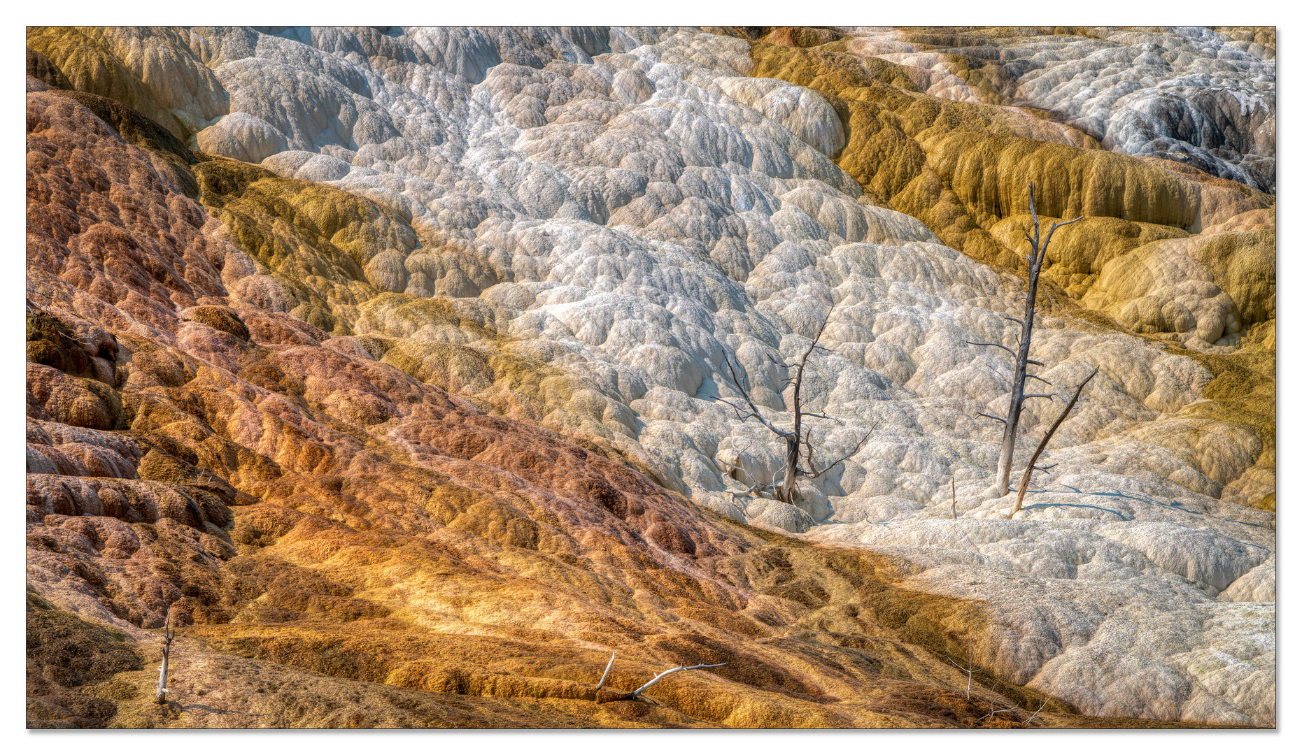 Mammoth Hot Springs