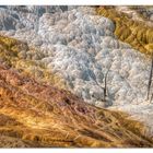 Mammoth Hot Springs