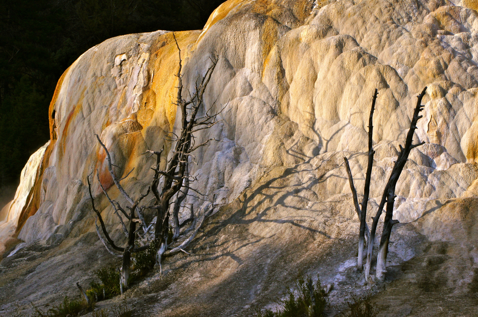 Mammoth Hot springs