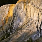 Mammoth Hot springs