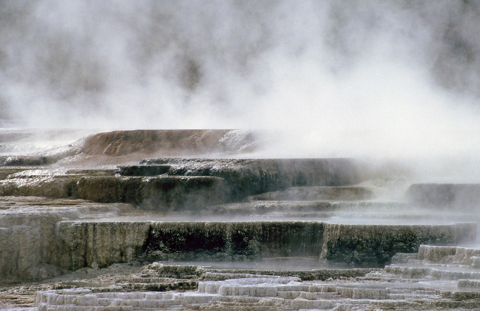 Mammoth Hot Springs