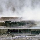 Mammoth Hot Springs