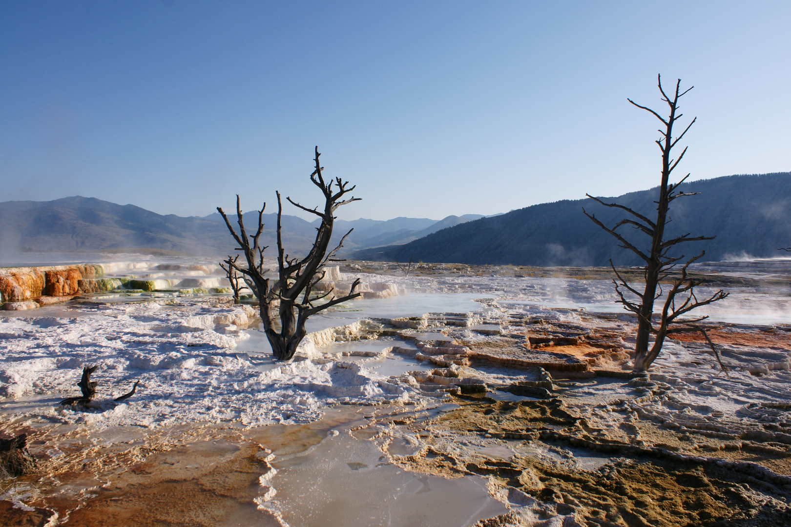 Mammoth Hot Springs