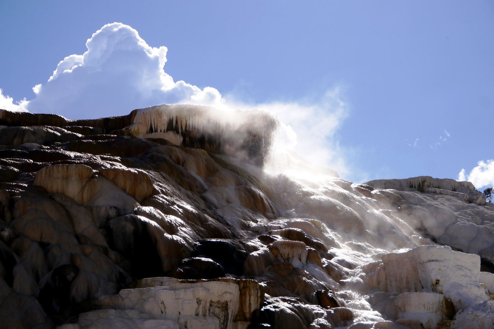 Mammoth Hot Springs