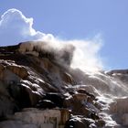 Mammoth Hot Springs