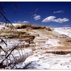 Mammoth Hot Springs