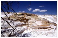 Mammoth Hot Springs