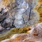 Mammoth Hot Springs