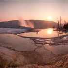 Mammoth Hot Springs