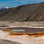 Mammoth Hot Springs