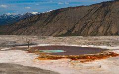 Mammoth Hot Springs