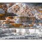 Mammoth Hot Springs