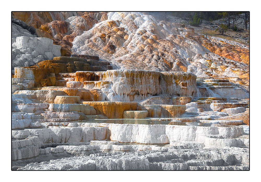 Mammoth Hot Springs