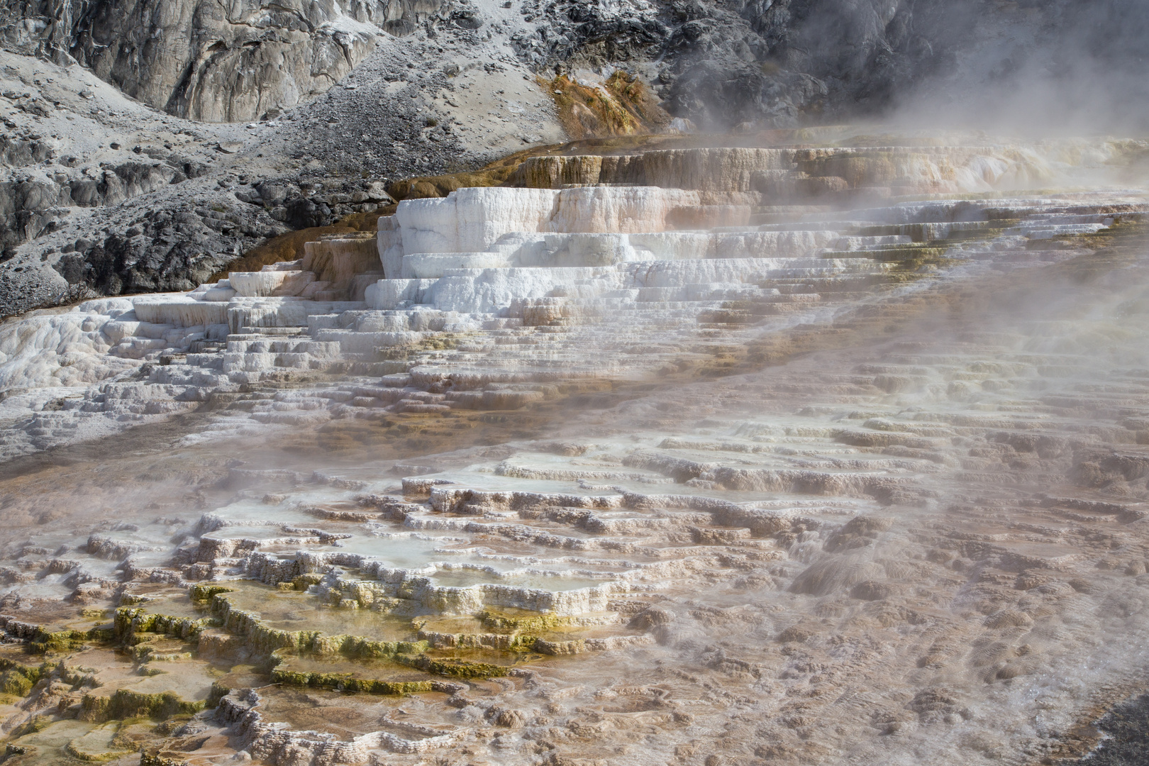 Mammoth Hot Springs