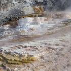 Mammoth Hot Springs