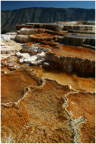 Mammoth Hot Springs