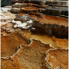 Mammoth Hot Springs