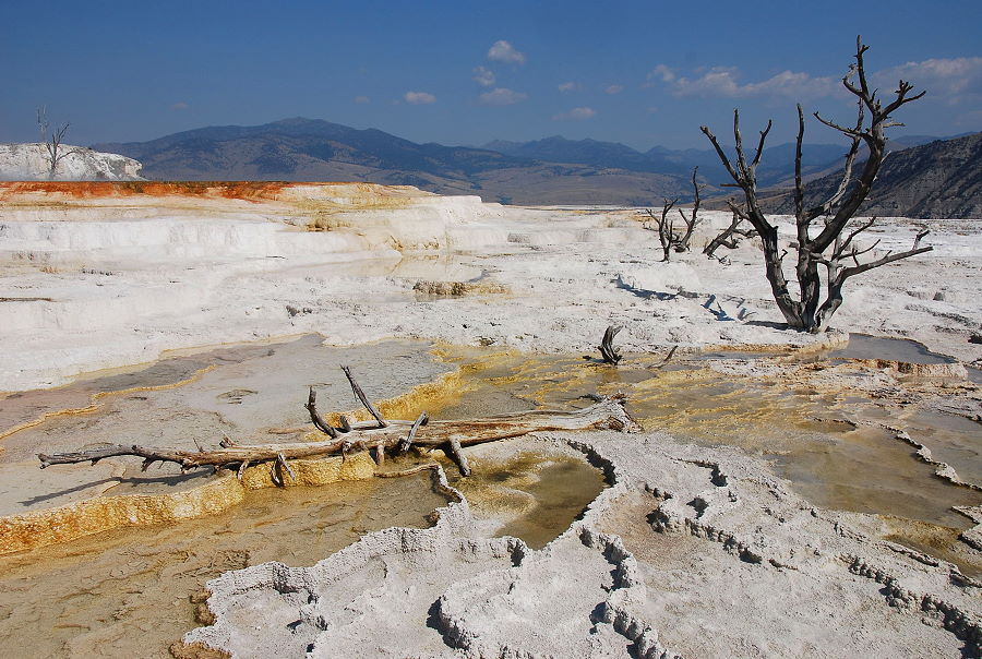 Mammoth Hot Springs von qaxxl 