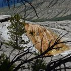 Mammoth Hot Springs                 DSC_4779