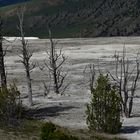 Mammoth Hot Springs                                   DSC_4784