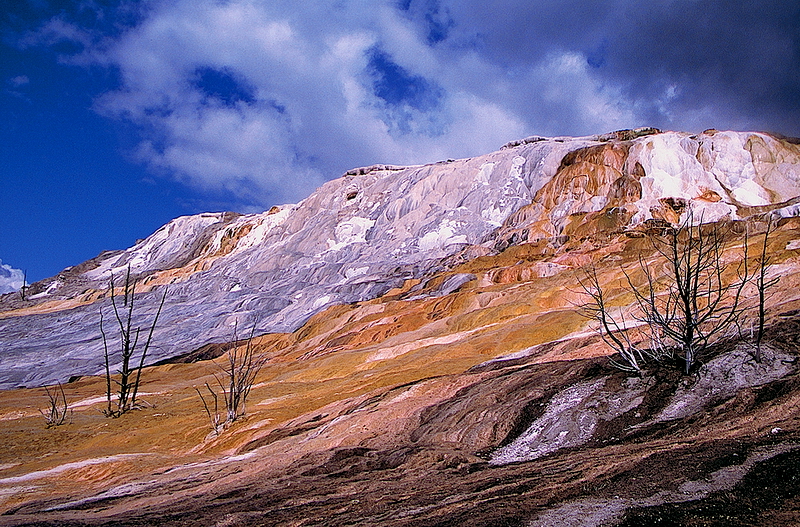 Mammoth hot springs