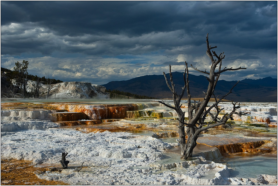 Mammoth Hot Springs