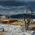 Mammoth Hot Springs