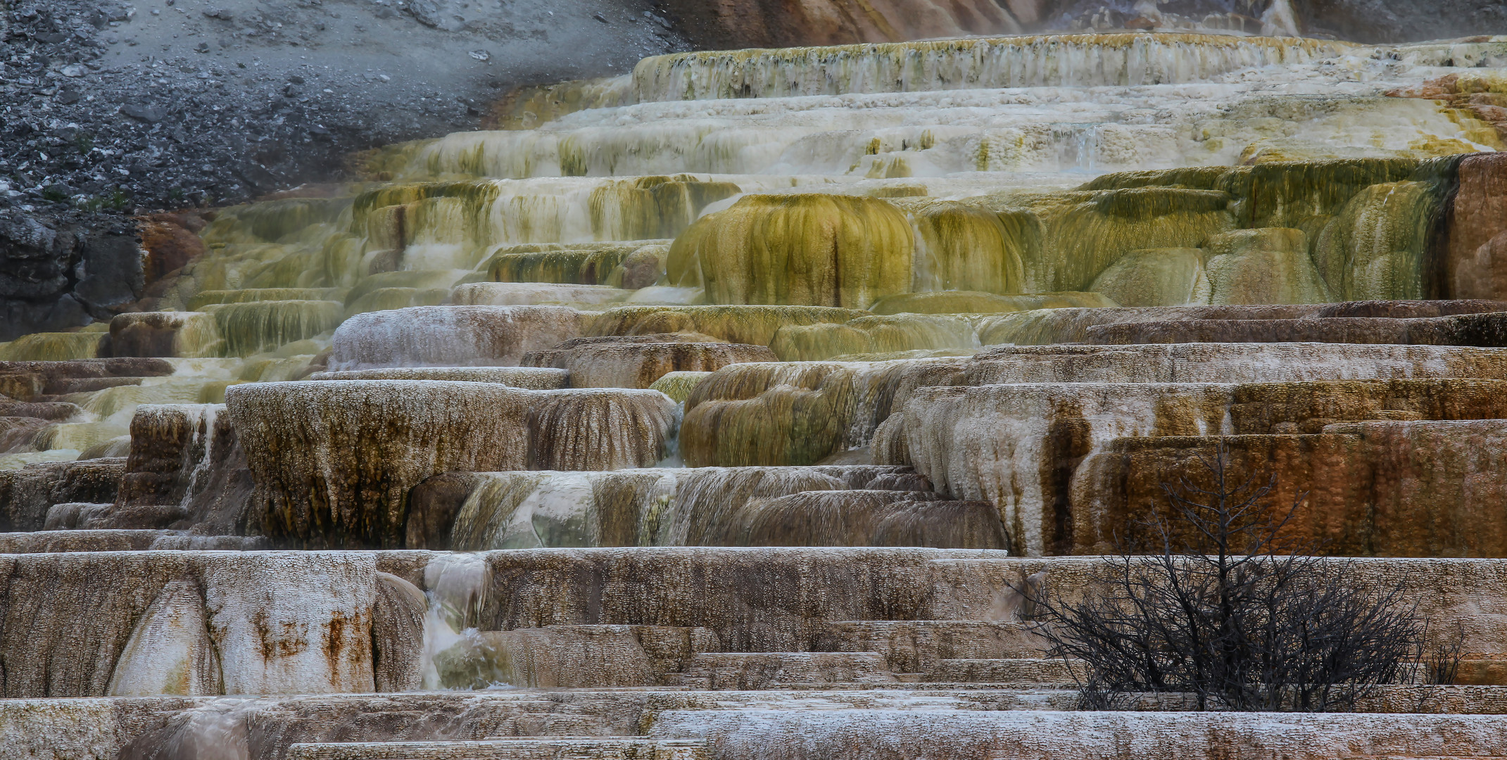 Mammoth Hot Springs