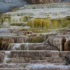 Mammoth Hot Springs