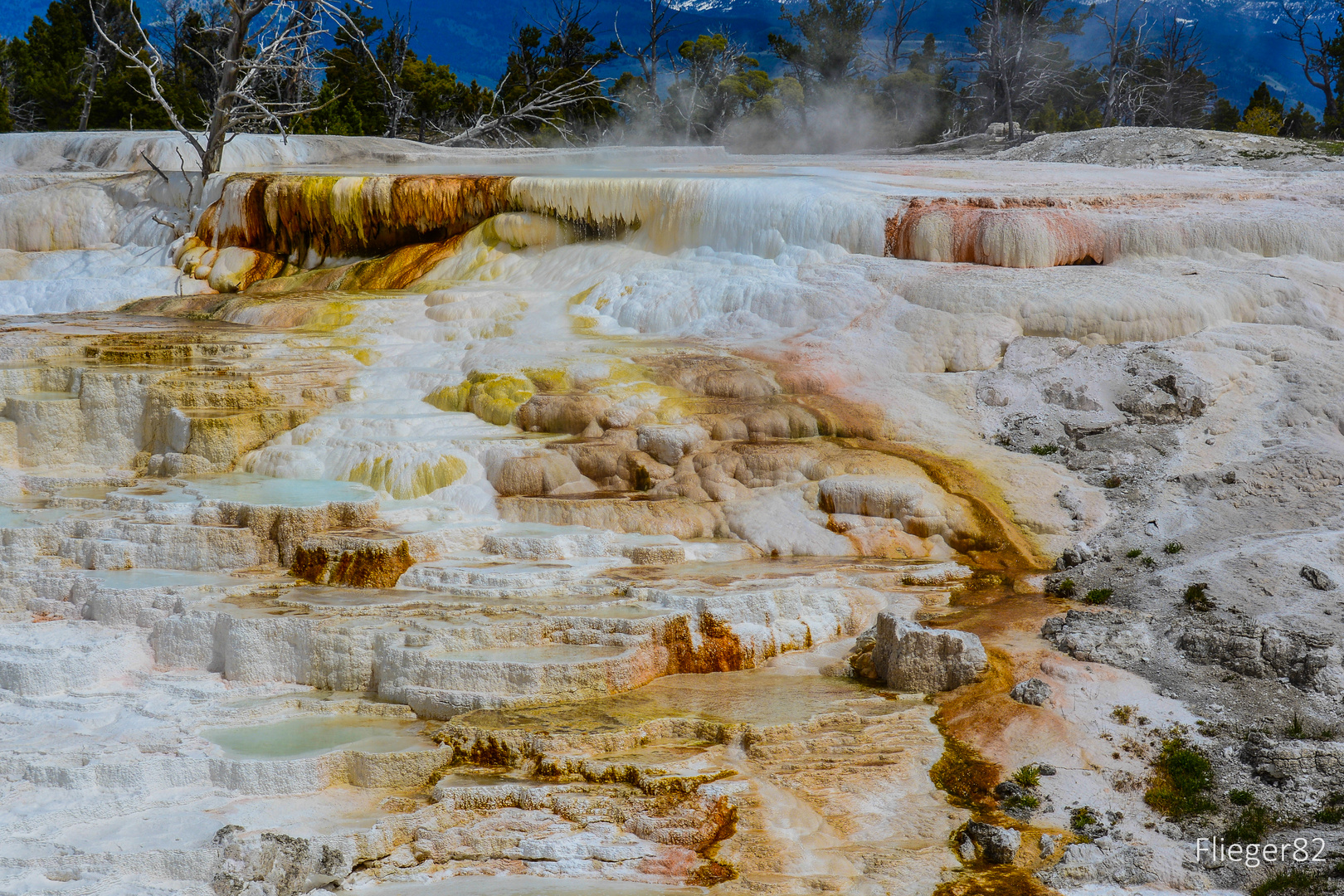 Mammoth Hot Springs