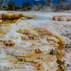 Mammoth Hot Springs