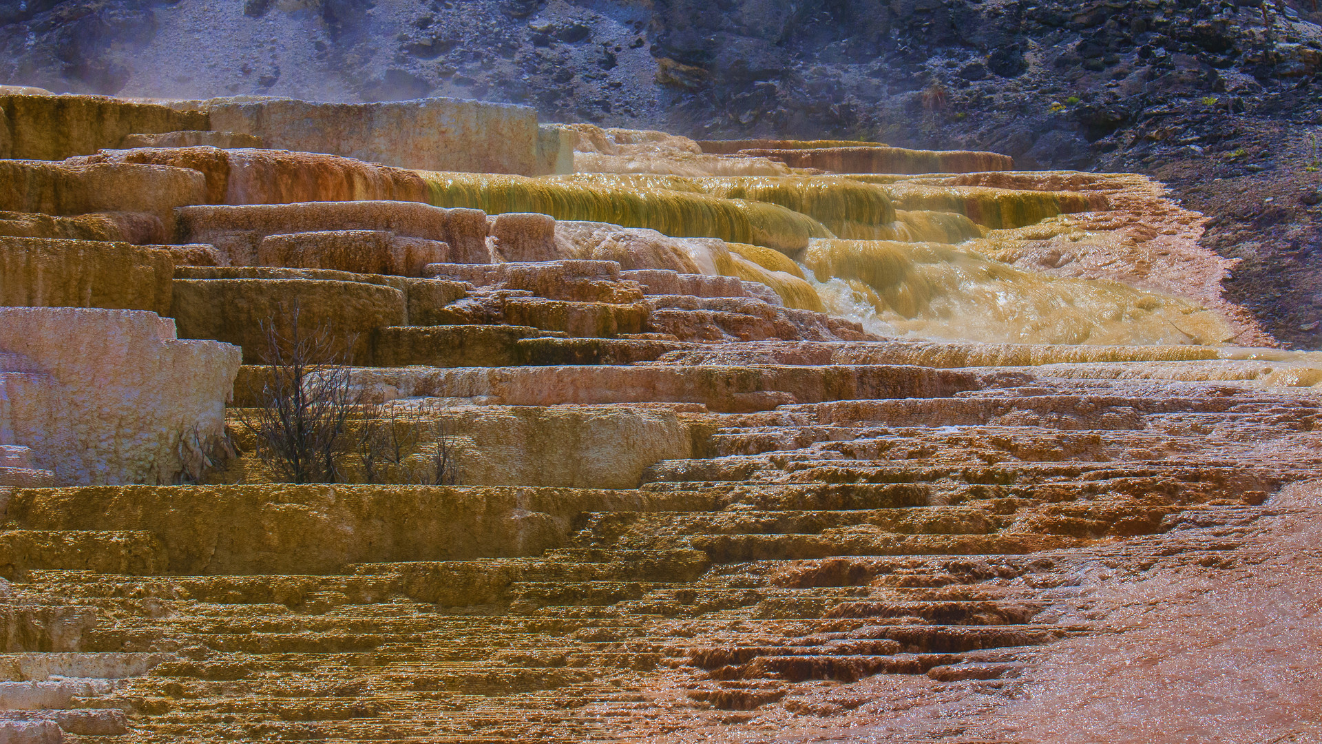 Mammoth Hot Springs - Geothermal Terrace