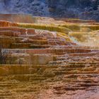 Mammoth Hot Springs - Geothermal Terrace