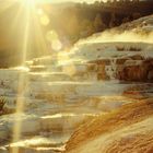 Mammoth Hot Springs II - 1996