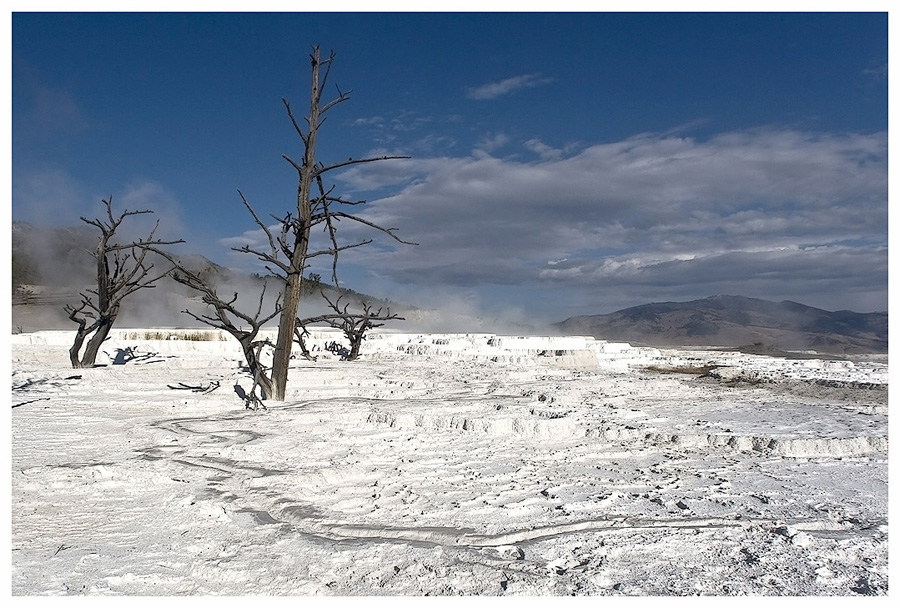 Mammoth Hot Springs im Herbst