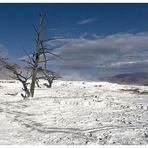 Mammoth Hot Springs im Herbst