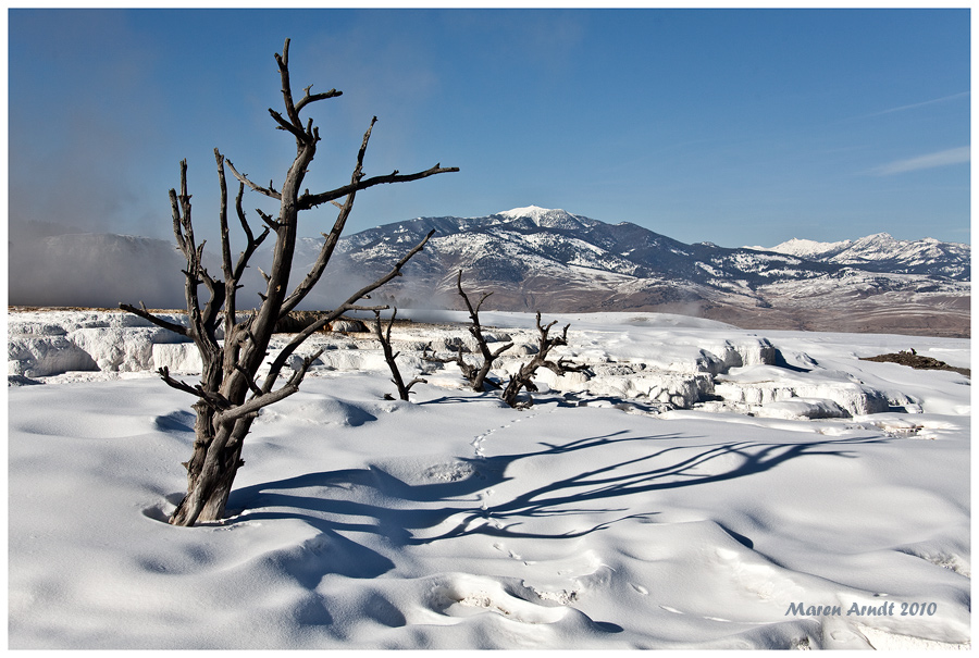 Mammoth Hot Springs im Schneelook