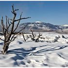 Mammoth Hot Springs im Schneelook